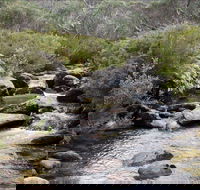 Thredbo River Track - Accommodation Mermaid Beach