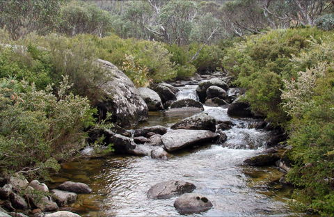 Thredbo River Track - Accommodation Mermaid Beach 0