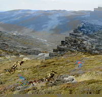 Thredbo Mountain Biking - Accommodation Mermaid Beach