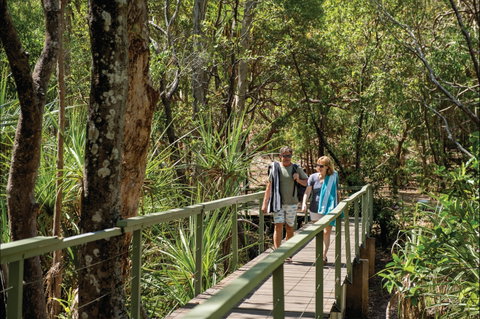 Wangi Falls - Accommodation Mermaid Beach 1