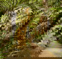 William Ricketts Sanctuary - Accommodation Mermaid Beach