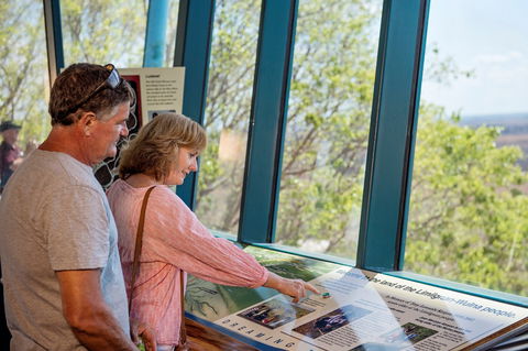 Window On The Wetlands - Accommodation Mermaid Beach 2