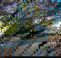 Witcombe Fountain - Accommodation Mermaid Beach