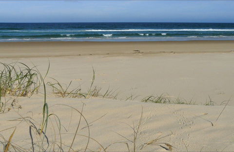 Bongil Beach - Accommodation Mermaid Beach 0