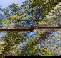 Bribie Island Bicentennial Trails - Accommodation Mermaid Beach