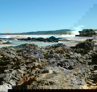 Coastal Walks - Bermagui - Accommodation Mermaid Beach