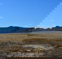 Darke Peak Scenic Drive - Accommodation Mermaid Beach