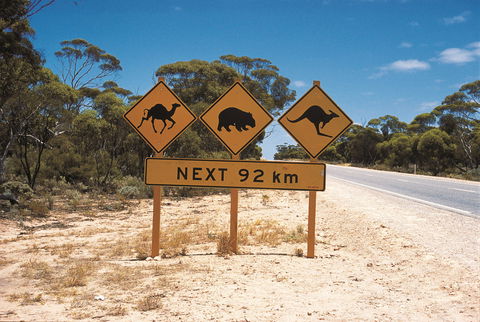 Eyre Highway - Accommodation Mermaid Beach 1