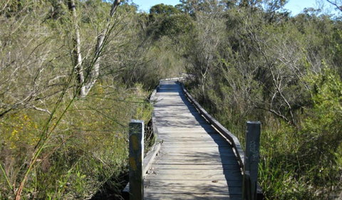Falcon Crescent Link Track - Accommodation Mermaid Beach 0