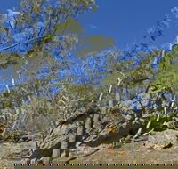 Green track - Accommodation Mermaid Beach