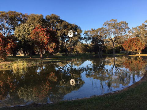 Jubilee Park - Accommodation Mermaid Beach 0