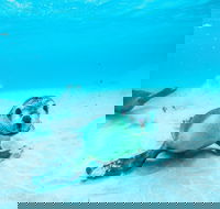 Jurien Bay - Accommodation Mermaid Beach