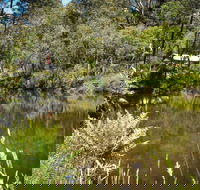 Kurth Kiln Regional Park - Accommodation Mermaid Beach
