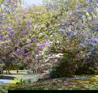 Leis Park - Accommodation Mermaid Beach