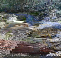 Liffey Falls Reserve - Accommodation Mermaid Beach