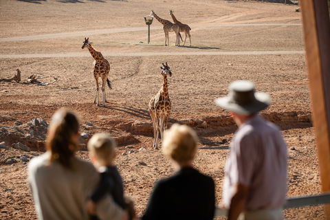 Monarto Safari Park - Accommodation Mermaid Beach 0