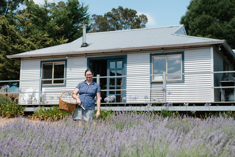 Nannup Lavender Farm - Accommodation Mermaid Beach 1