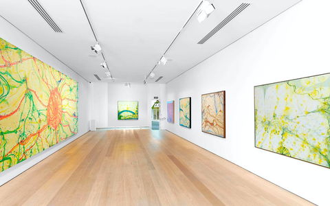 Olsen Gallery - Accommodation Mermaid Beach 0
