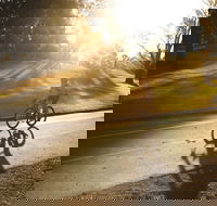 Parramatta River Cycleway - Accommodation Mermaid Beach
