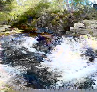 Polblue Falls - Accommodation Mermaid Beach