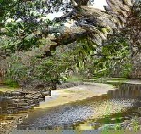 Saltwater National Park - Accommodation Mermaid Beach