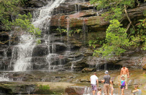 Somersby Falls Picnic Area - Accommodation Mermaid Beach 0