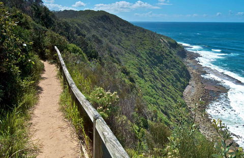 The Coast Walking Track - Accommodation Mermaid Beach 0