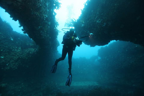 The Arches Marine Sanctuary - Accommodation Mermaid Beach 1