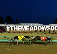 The Meadows - Accommodation Mermaid Beach