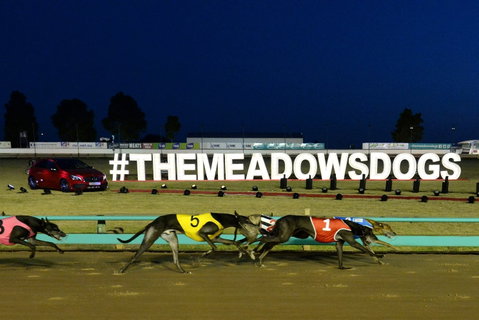 The Meadows - Accommodation Mermaid Beach 0