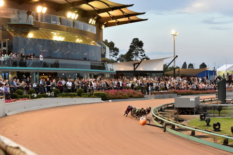 The Meadows - Accommodation Mermaid Beach 1