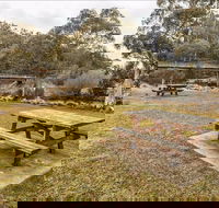 Thredbo River picnic area - Accommodation Mermaid Beach