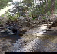 Threlfall Walking Track - Accommodation Mermaid Beach