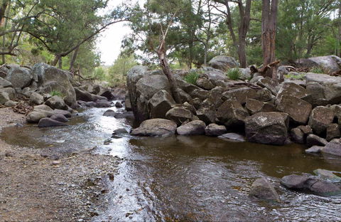 Threlfall Walking Track - Accommodation Mermaid Beach 0