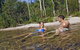Tjaynera Falls (Sandy Creek) - thumb 0