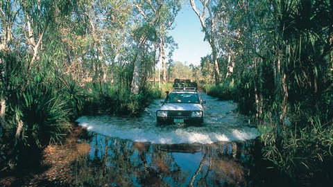 Tjaynera Falls (Sandy Creek) - Accommodation Mermaid Beach 1