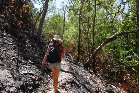 Tjaynera Falls (Sandy Creek) - Accommodation Mermaid Beach 2