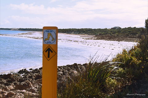 Walk The Yorke Trail - Accommodation Mermaid Beach 2