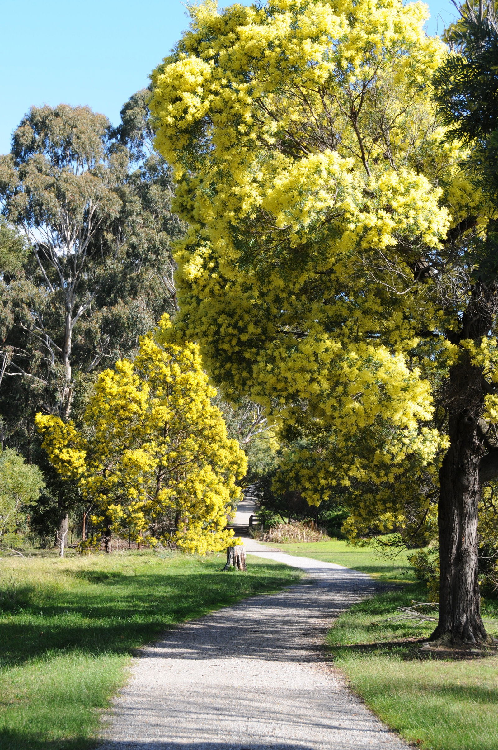 Eastern Melbourne VIC Accommodation Mermaid Beach