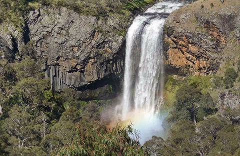 Waterfall Way Scenic Drive - Accommodation Mermaid Beach 0