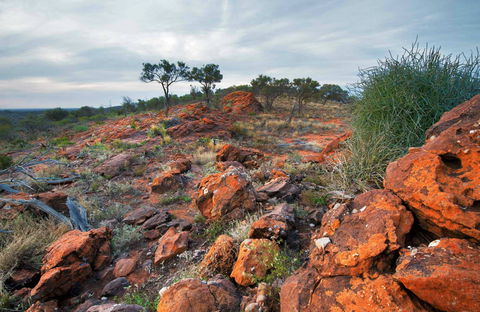 Western Ridge Walk - Accommodation Mermaid Beach 0