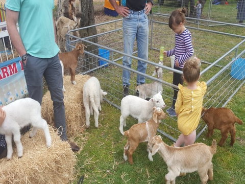 Animal Farm Visit - Accommodation Mermaid Beach 2