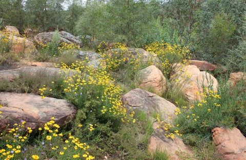 Ben Hall's Cave Walking Track - Accommodation Mermaid Beach 0