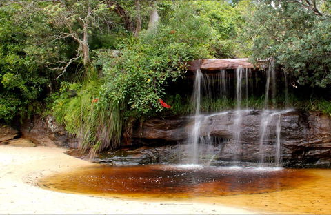 Collins Flat Beach - Accommodation Mermaid Beach 0