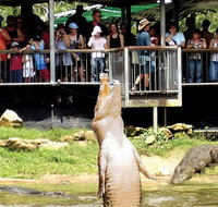 Crocodylus Park and Zoo - Accommodation Mermaid Beach