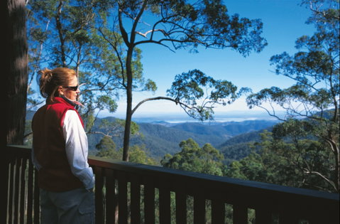 D'Aguilar National Park - Accommodation Mermaid Beach 0