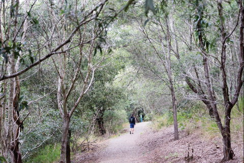 D'Aguilar National Park - Accommodation Mermaid Beach 2