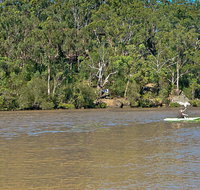 Fitzpatrick Park - Accommodation Mermaid Beach
