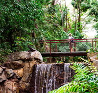 George Brown Darwin Botanic Gardens - Accommodation Mermaid Beach