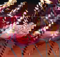 Loviz Arts Gallery - Accommodation Mermaid Beach